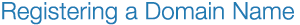 Registering a Domain Name.