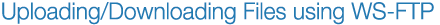 Uploading/Downloading files using WS-FTP